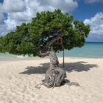 ARUBA