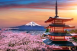 ESSENTIAL JAPAN - Image 3