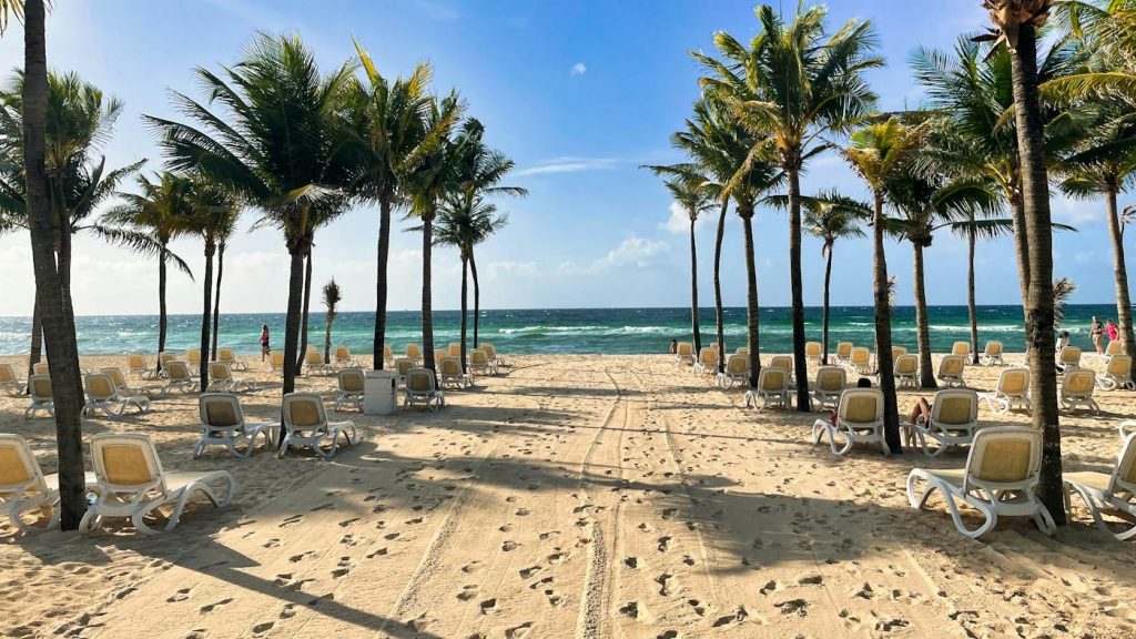 Playa con palmeras y reposeras en la Riviera Maya, cerca de Playa del Carmen