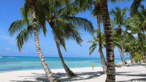 Playa de arena blanca con palmeras y mar turquesa en Punta Cana, República Dominicana