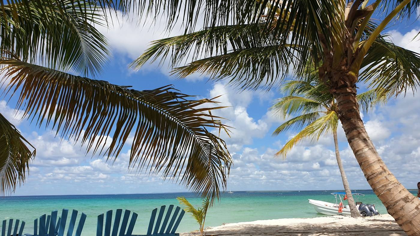 Reposeras azules bajo palmeras frente al mar turquesa en una playa del Caribe
